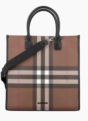 لمخططة الأيقونية